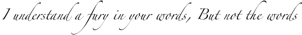 "I understand a fury in your words, But not the words."